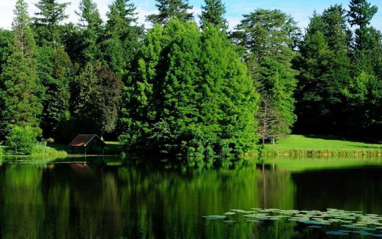 ЖК «Мой адрес в Северном»