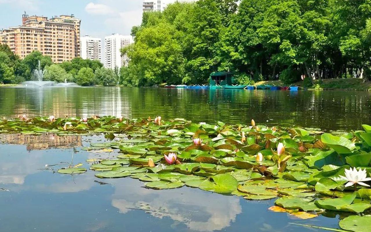 Воронцовский парк в москве