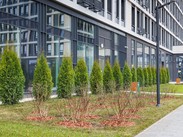 Корпус 1. Ноябрь 2025г.