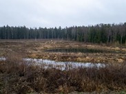 Корпус 1.2. Декабрь 2025г.