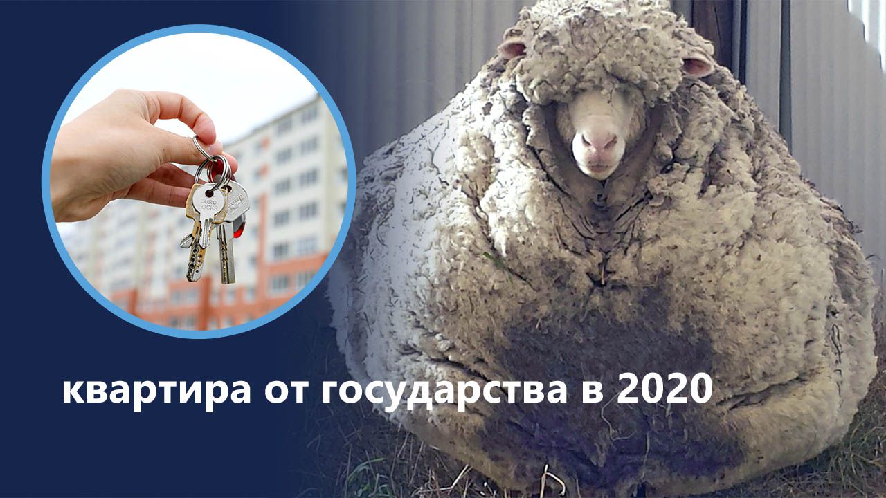 С паршивой овцы хоть шерсти клок: квартира от государства в 2020