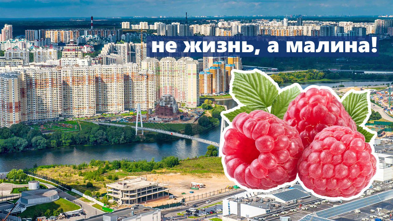 Не жизнь, а малина! Что хорошего и что плохого в Красногорске?